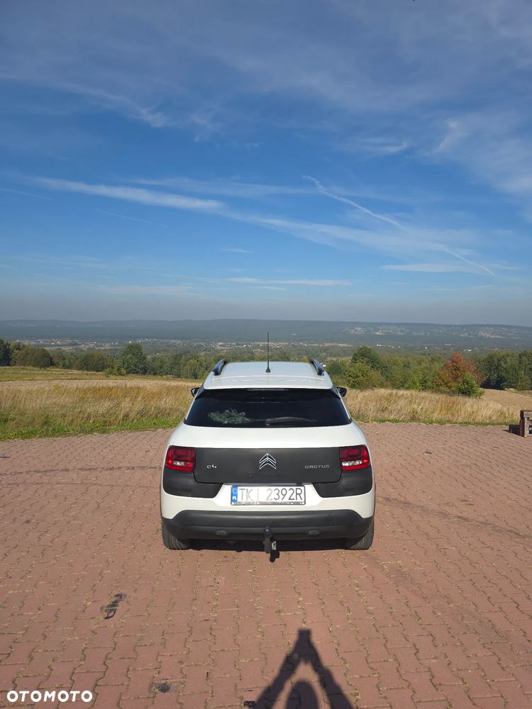 Citroën C4 Cactus 1.6 Blue HDi Shine ETG - 12