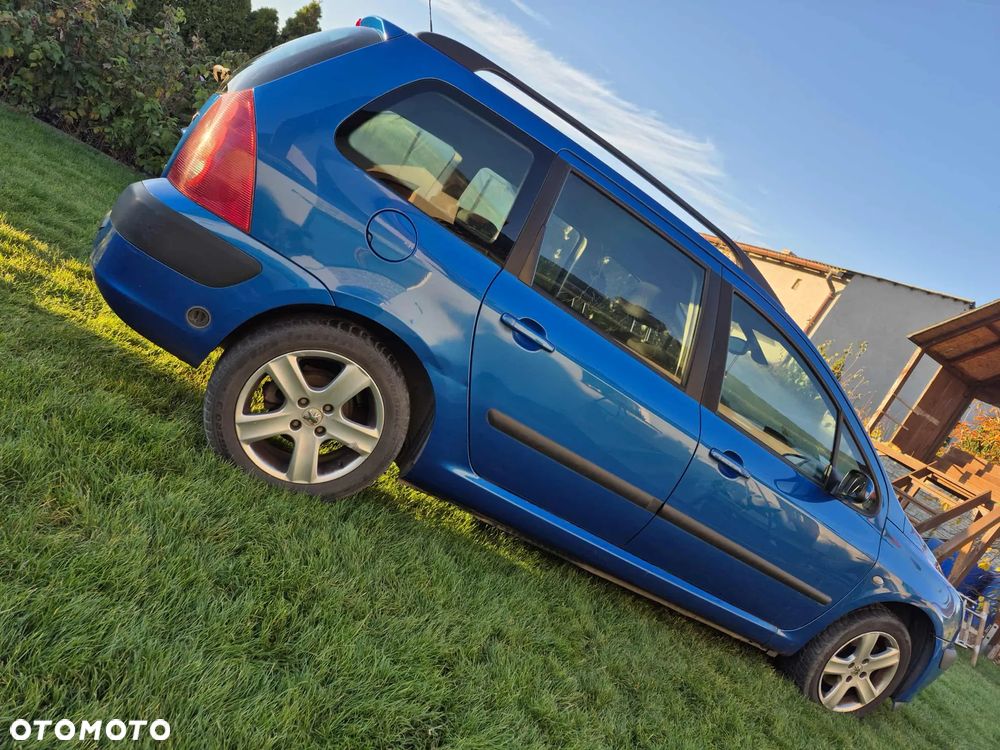 Peugeot 307 2.0 - 9