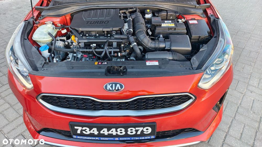 Kia ProCeed 1.5 T-GDI mHEV GT Line DCT - 35