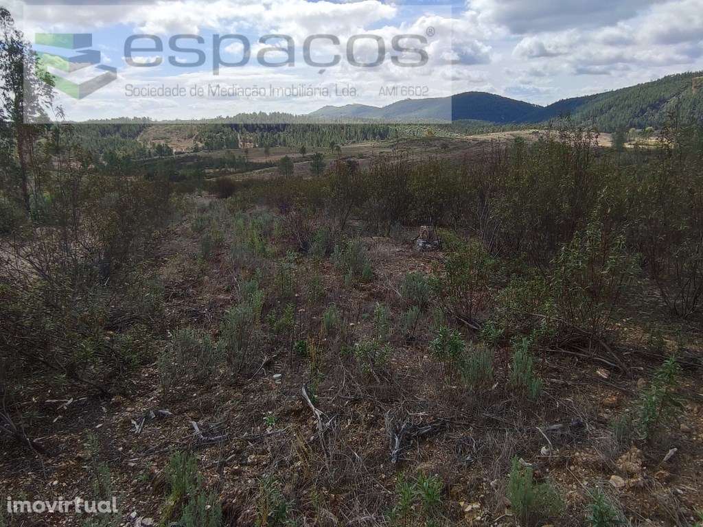 Terreno rústico - Martim Branco - Grande imagem: 3/9