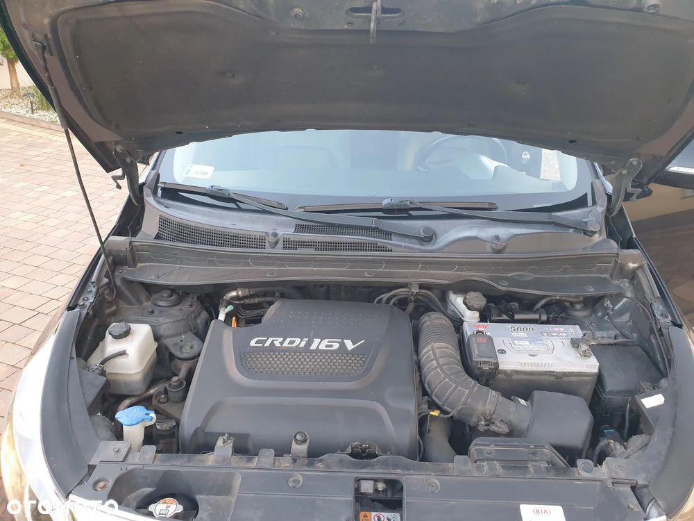 Kia Sportage - 16