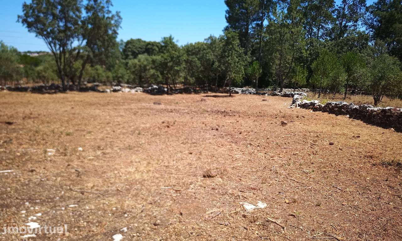 Terreno Urbanizavel Cidade de Fátima! - Grande imagem: 3/9