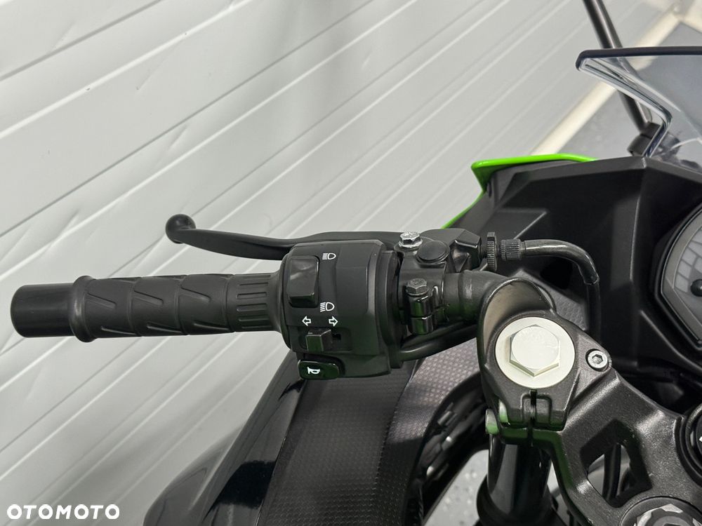 Kawasaki Ninja - 15