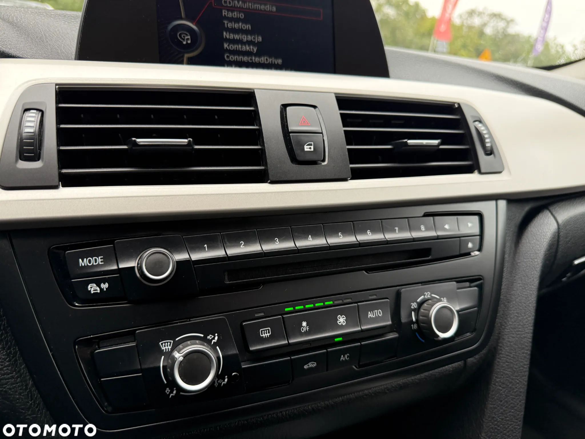 BMW Seria 3 318d - 11