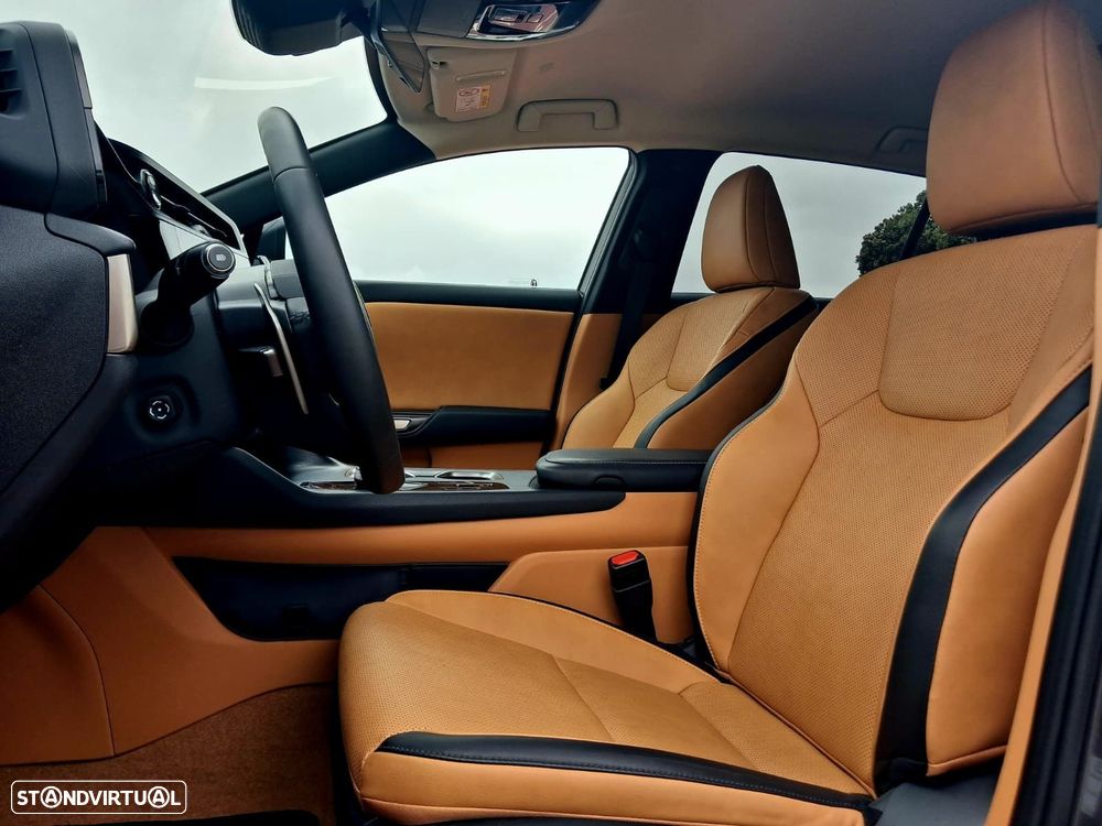 Lexus RZ 300e Premium - 15