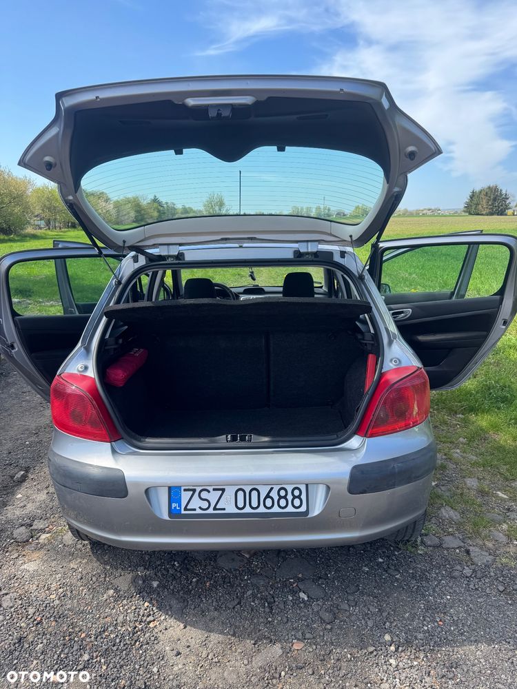 Peugeot 307 - 13