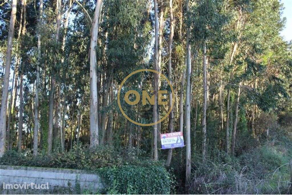 Terreno Pinhal - Grande imagem: 2/5