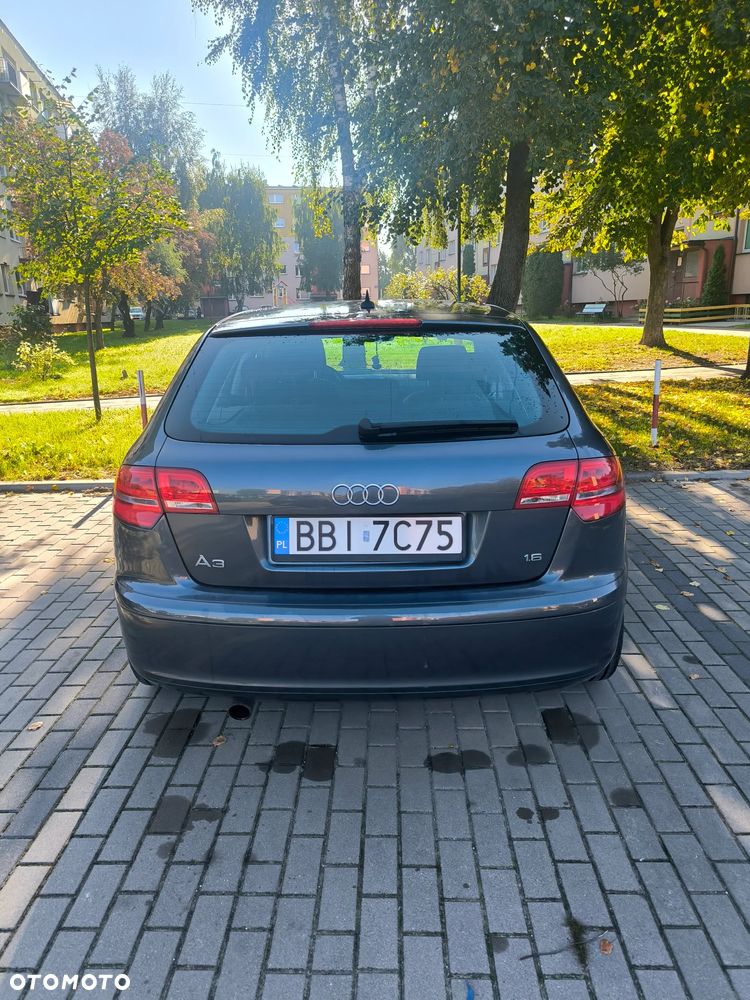 Audi A3 Sportback 1.6 FSI Ambiente - 5