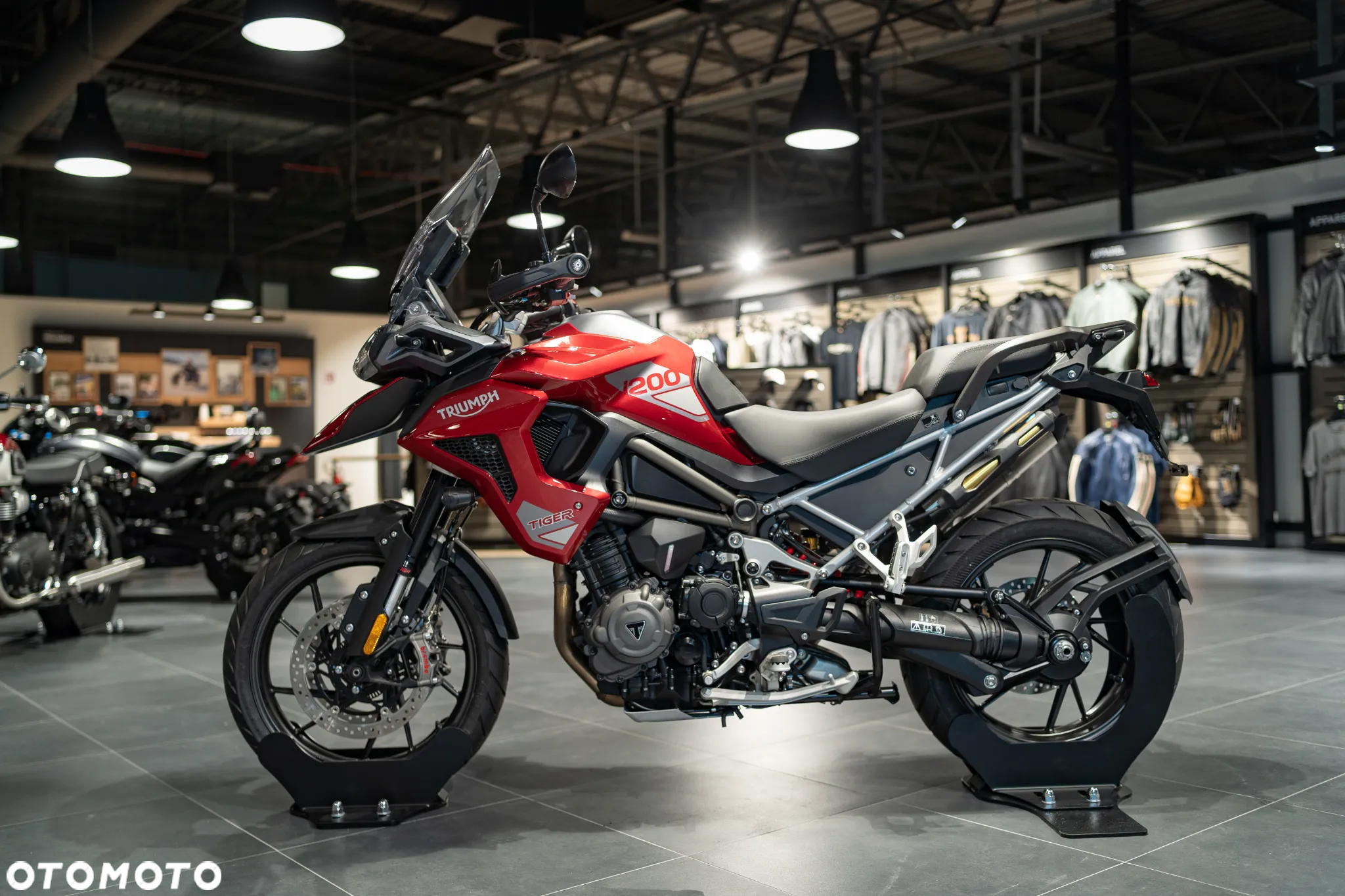 Triumph Tiger - 14