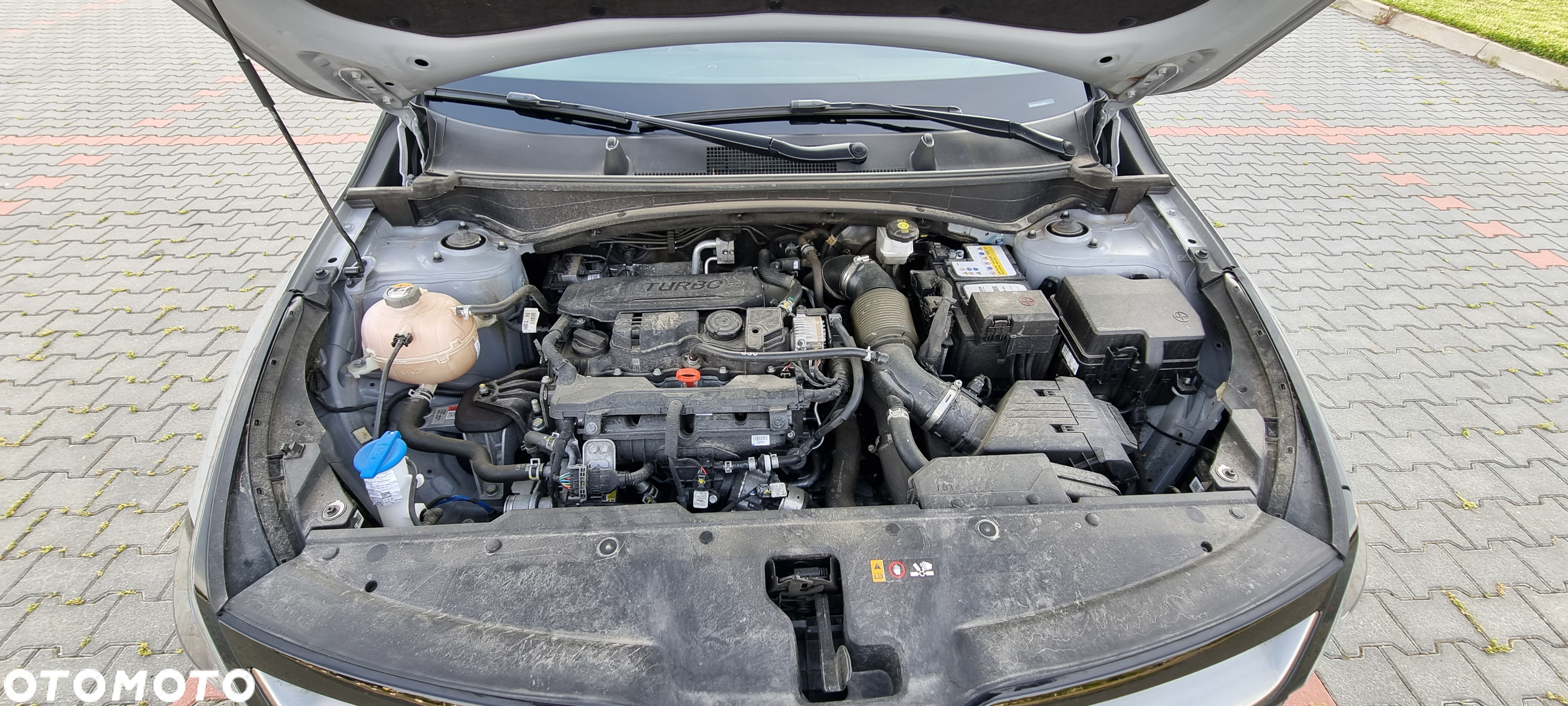Kia Sportage 1.6 T-GDI Anniversary 2WD - 12