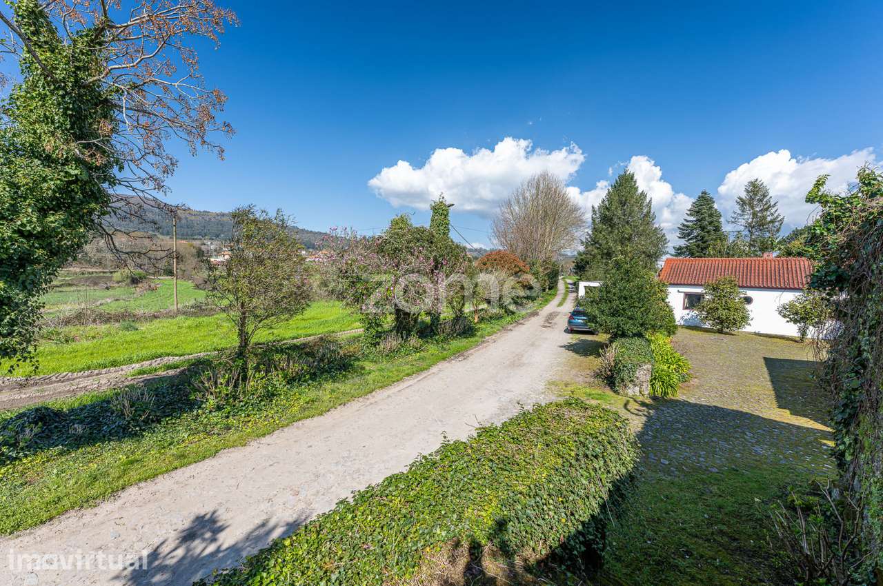 Quinta de Santa Luzia com 28ha no Minho para Venda - Grande imagem: 5/56
