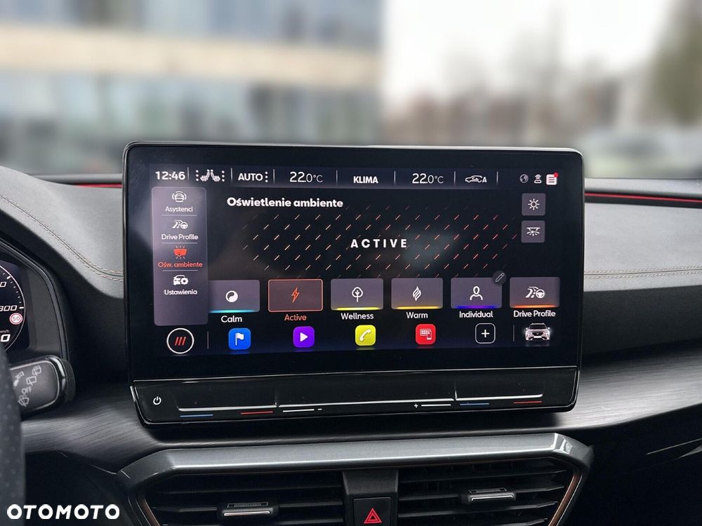 Cupra Formentor 2.0 TSI 4Drive VZ DSG - 26