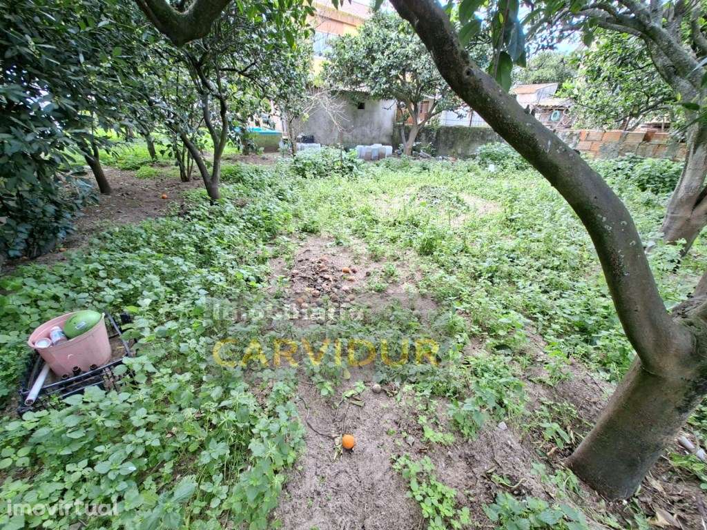 Lote 295m2 para construir moradia perto de Lisboa | Moita - Grande imagem: 2/19