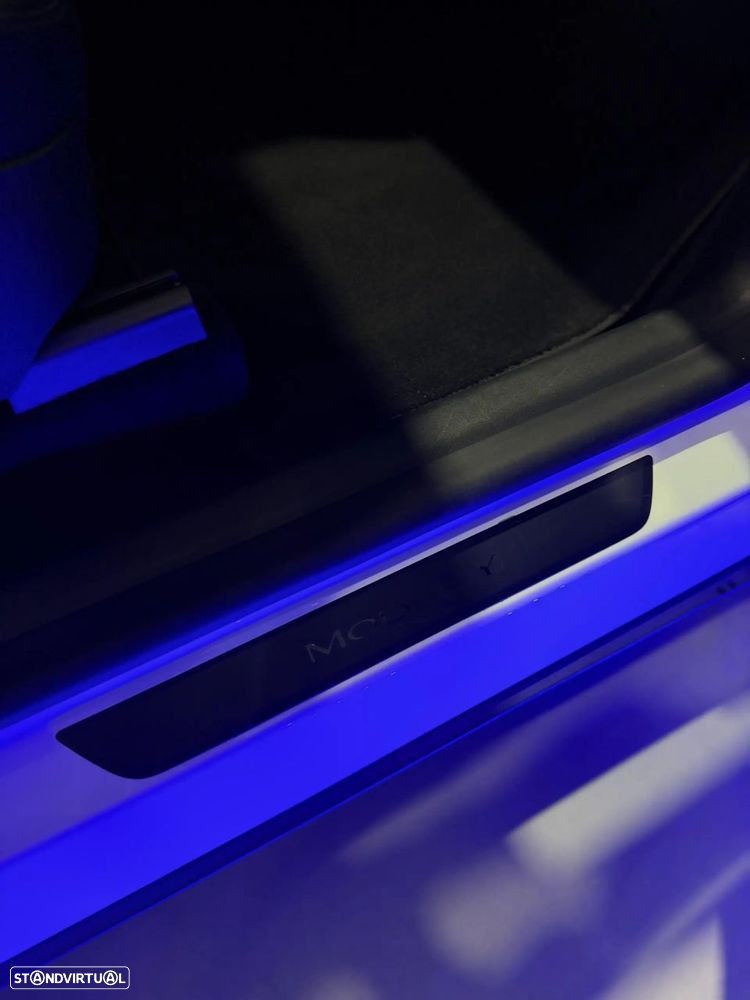 Tesla Model Y Long Range Dual Motor AWD - 24