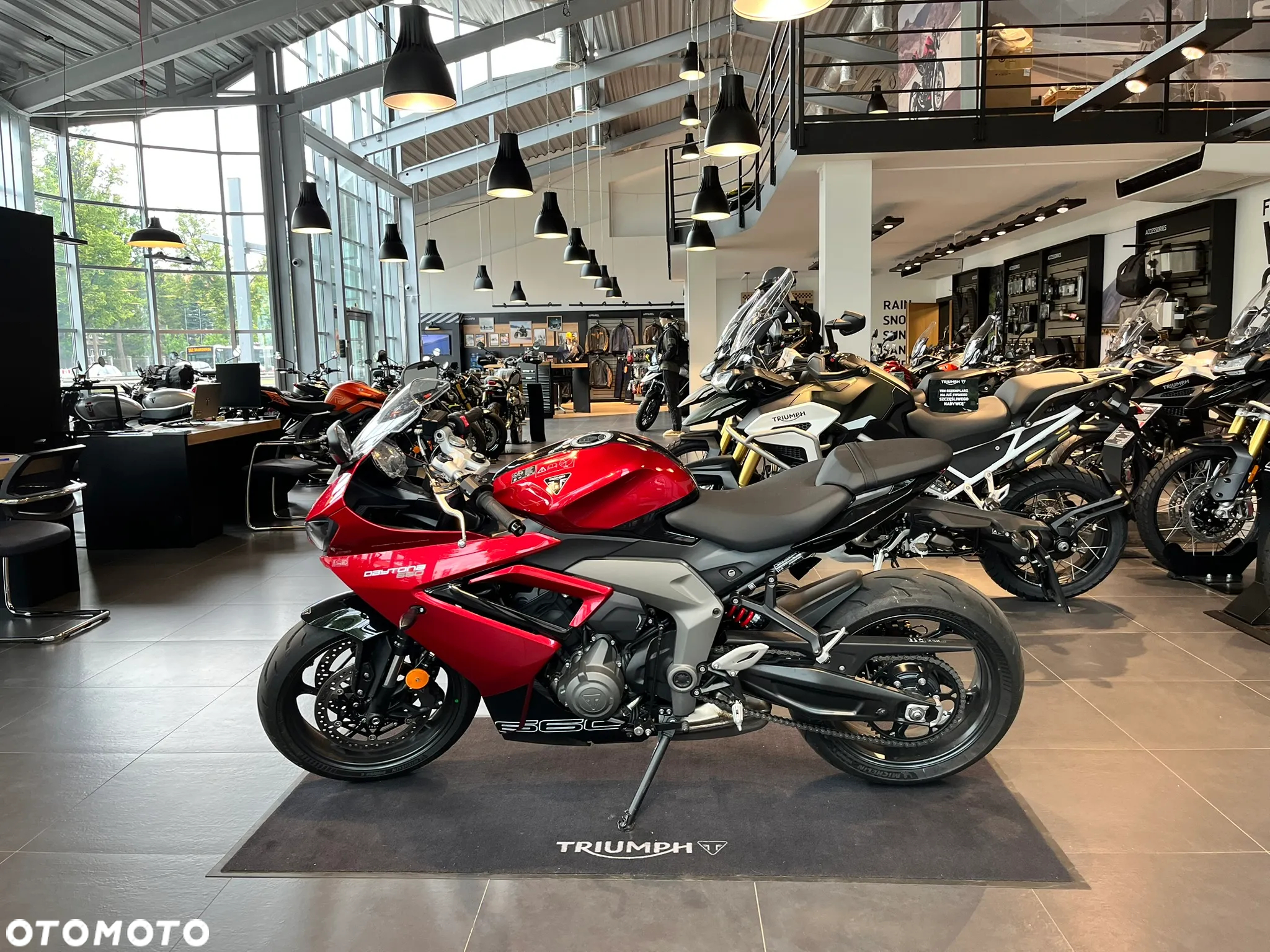 Triumph Daytona - 5