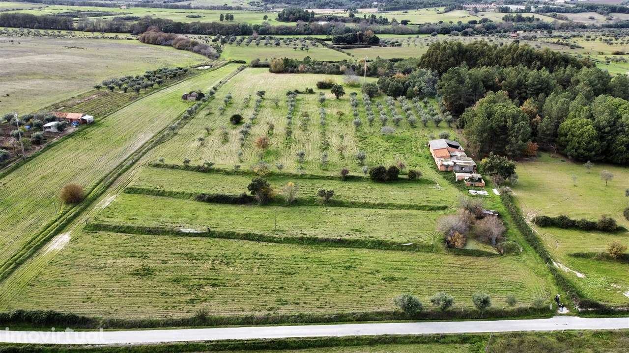 Quinta com 23 hectares junto a serra da gardunha, Soalheira Fundão - Grande imagem: 4/60