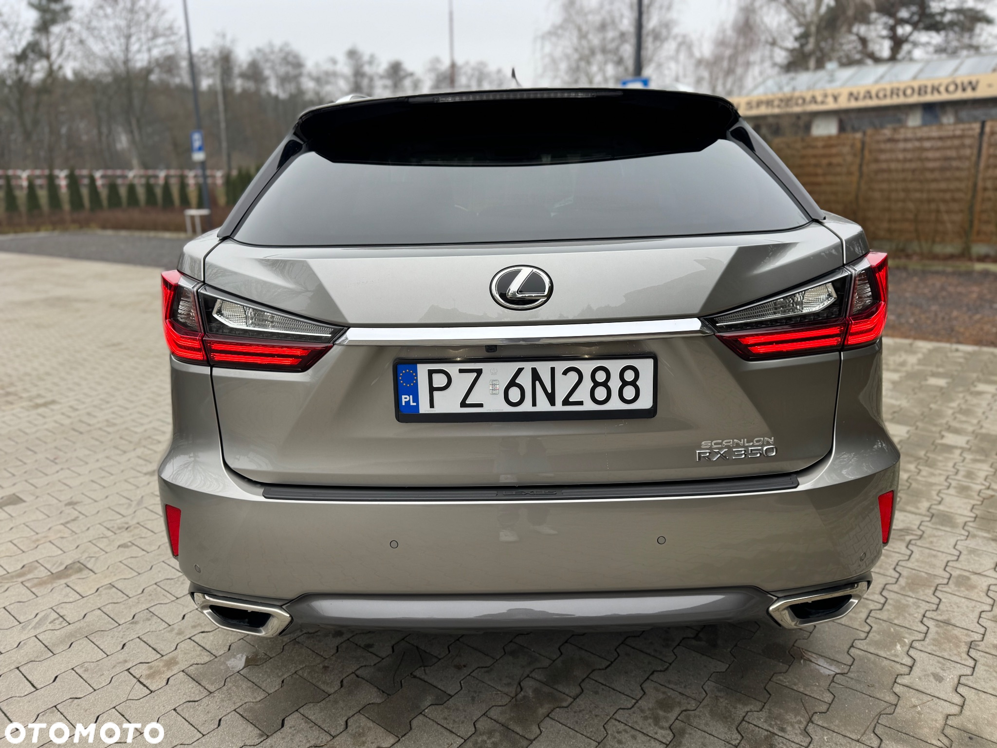 Lexus RX - 7