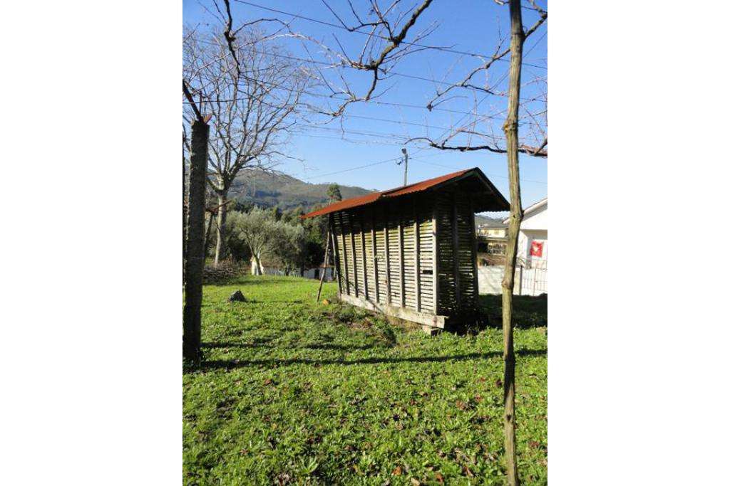 Moradia com terreno (quintinha) - Ponte de Lima. - Grande imagem: 2/3