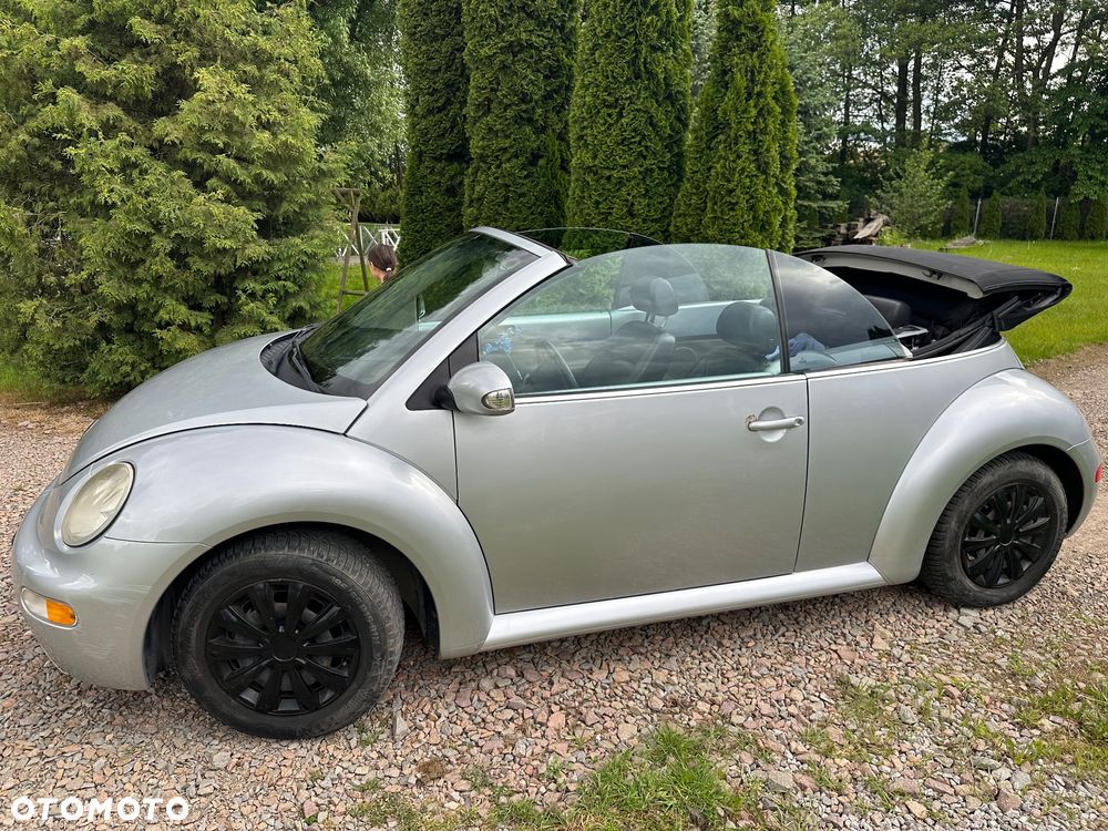 Volkswagen Beetle - 17