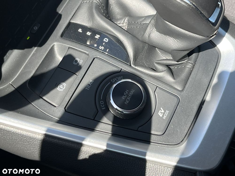 Toyota RAV4 - 17