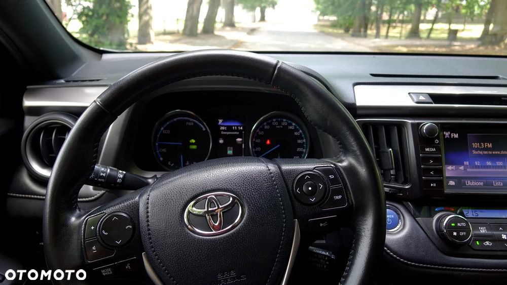 Toyota RAV4 - 17
