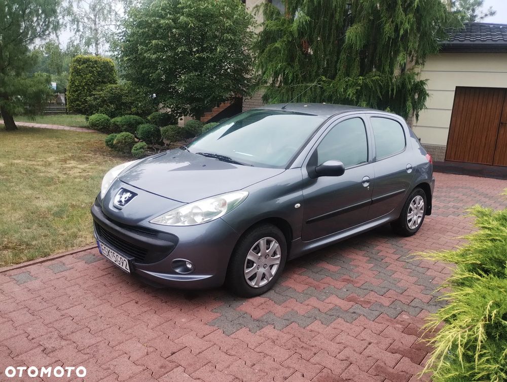 Peugeot 206 plus - 2