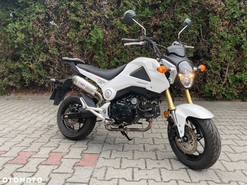 Honda MSX 125 - 1