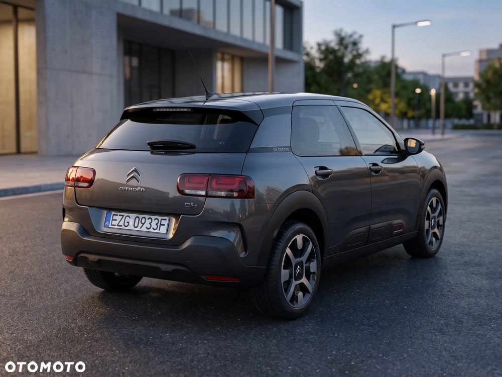 Citroën C4 Cactus PureTech 110 Stop&Start Shine - 15