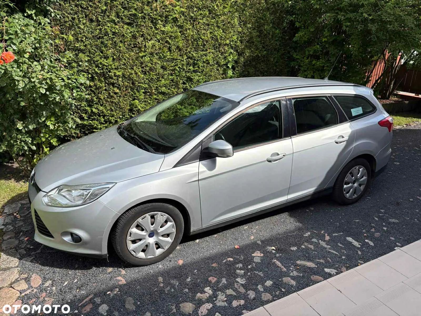 Ford Focus - 1