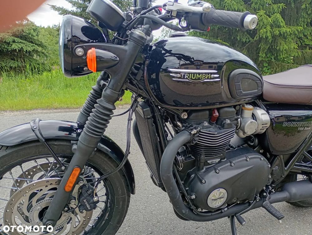 Triumph Bonneville - 3