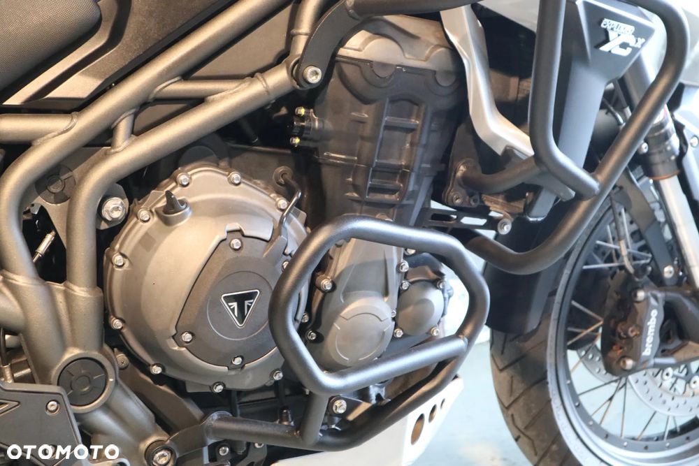 Triumph Tiger - 23