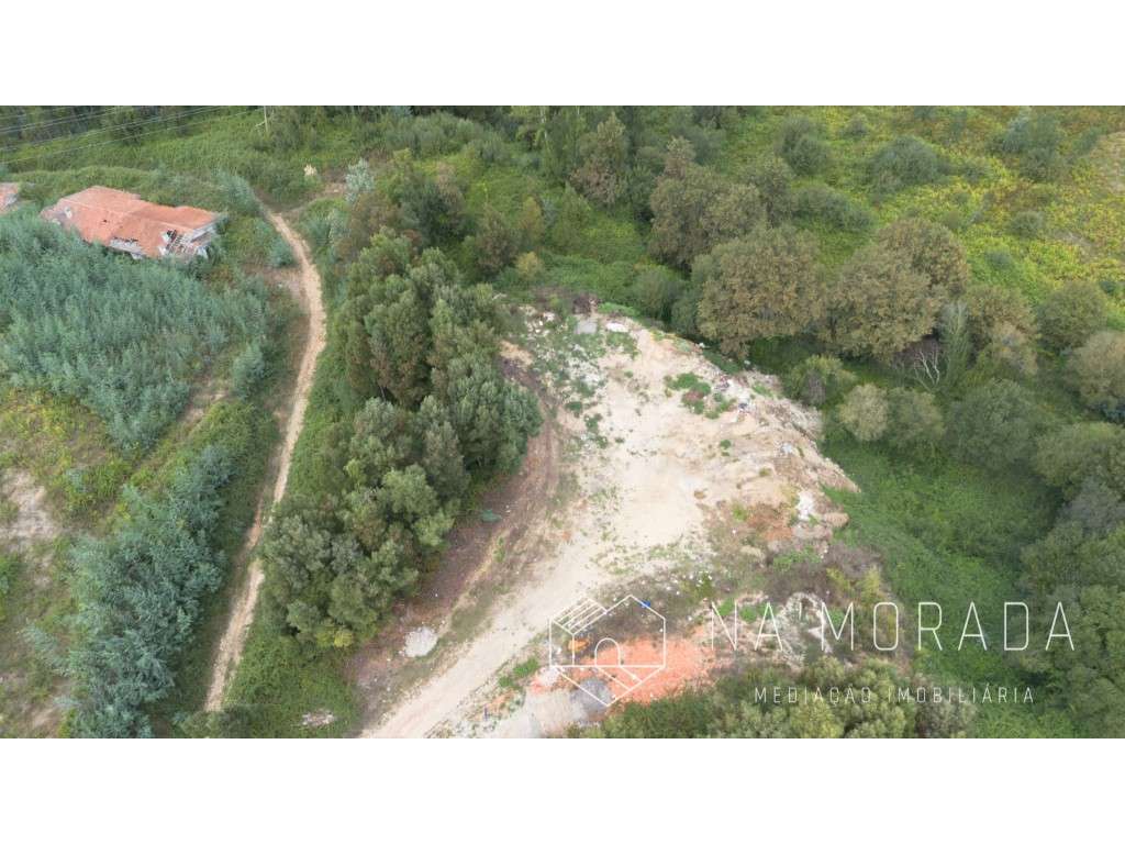 Terreno rústico com cerca de 24.700m2 na Urb. Minas do Pintor, Nogu... - Grande imagem: 2/30