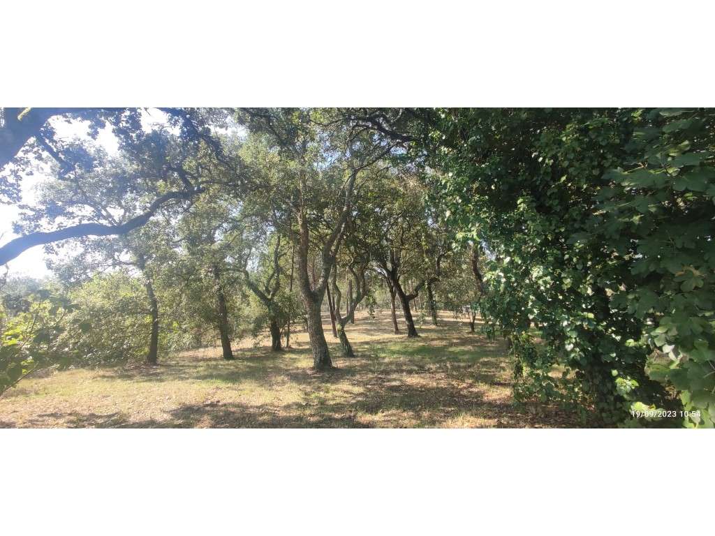 Terreno para construção, completamente plano e uma pequena construção - Grande imagem: 5/22