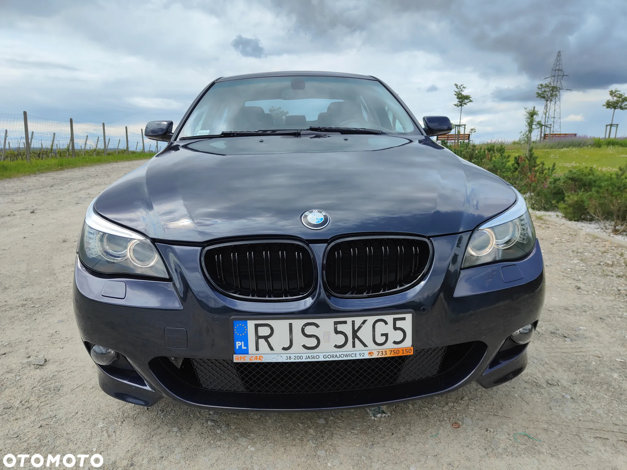 BMW Seria 5 525d - 6