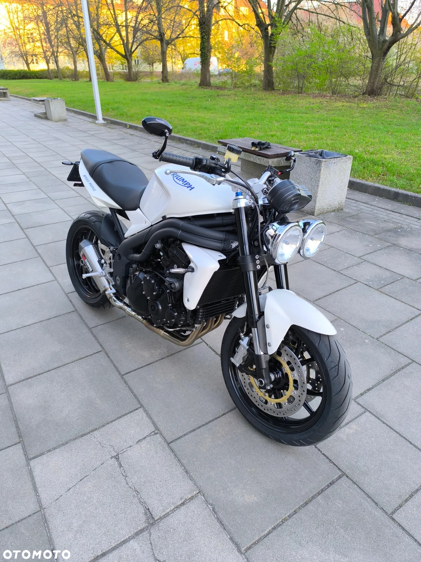 Triumph Speed Triple - 3