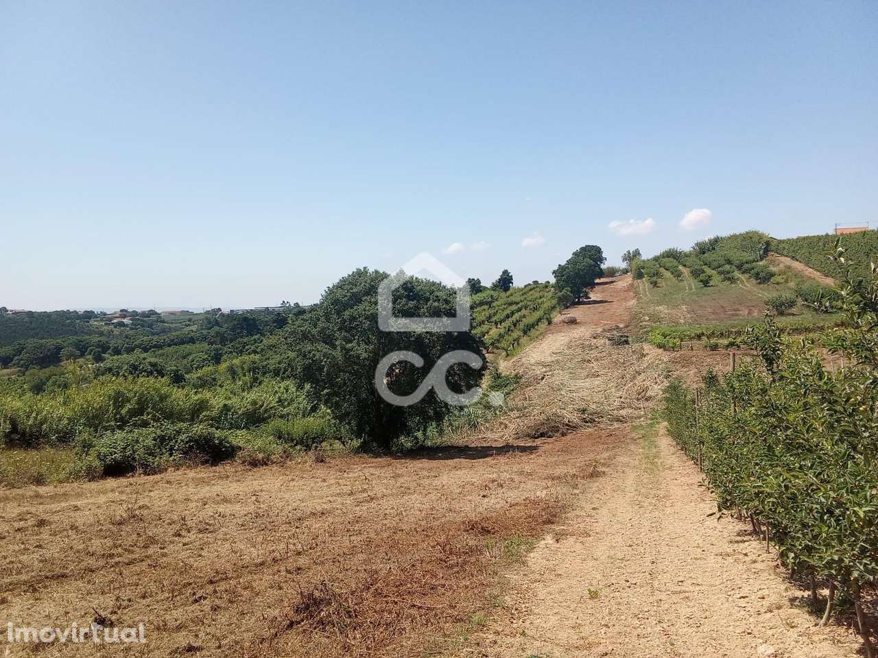 Terreno Rústico com 3.880 m² – Excelente Oportunidade em Usseira, a 3 - Grande imagem: 5/13