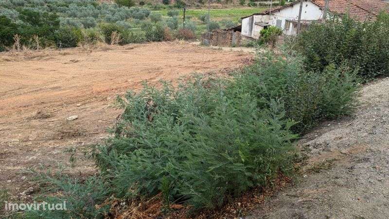 Vendo terreno para construção - Grande imagem: 3/5