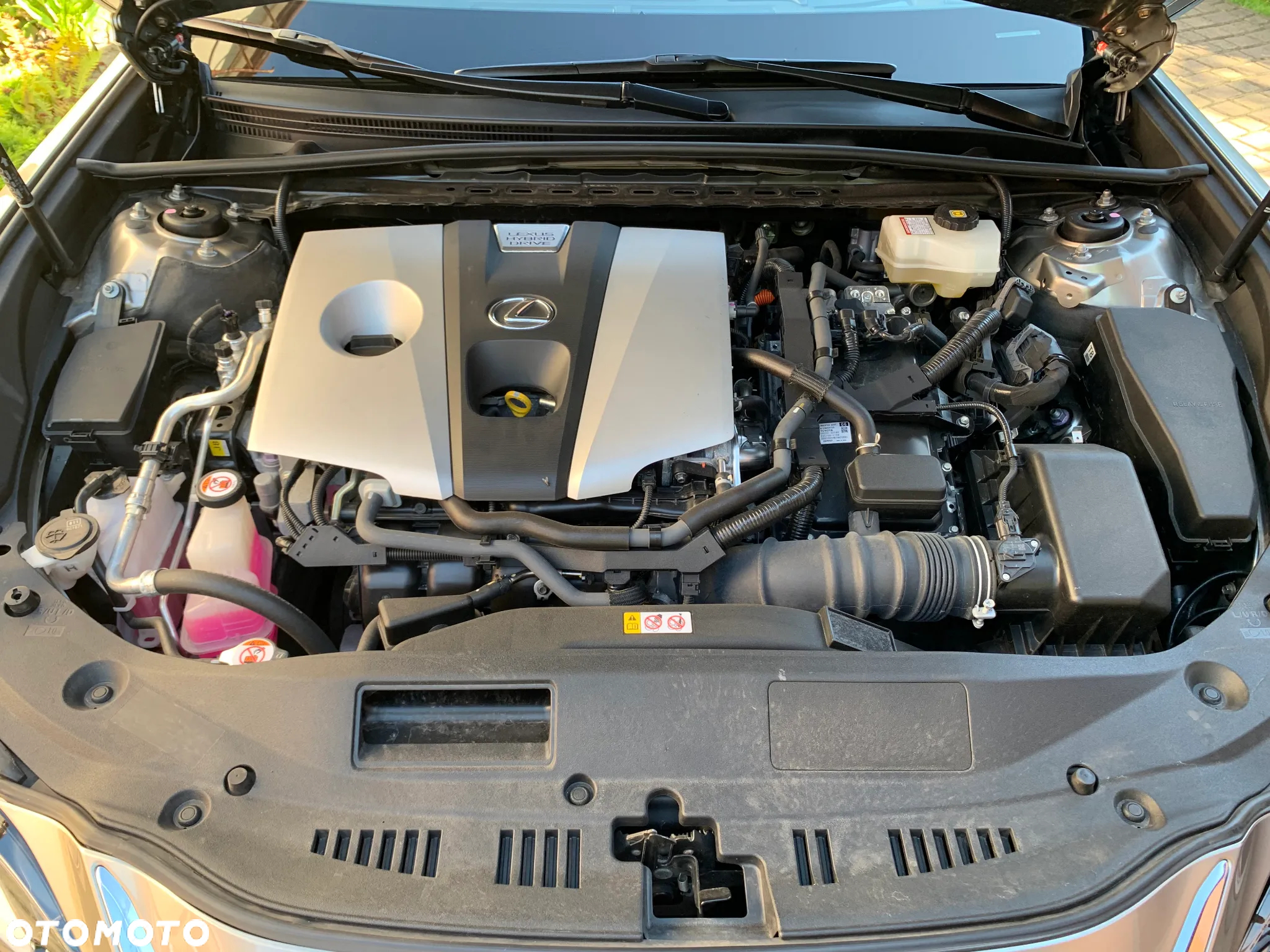 Lexus ES 300h Omotenashi - 38