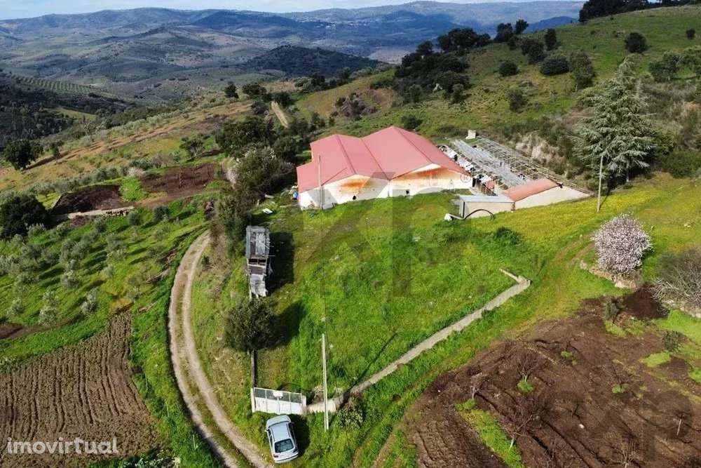 Armazém em Mirandela - 602m² de Oportunidade - Grande imagem: 3/9