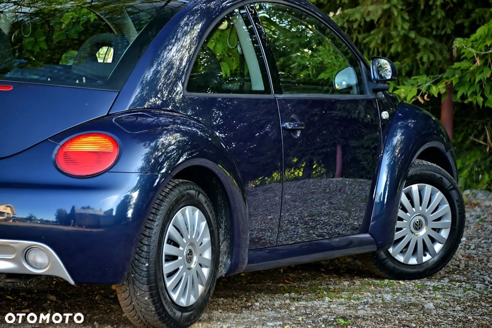 Volkswagen New Beetle - 19