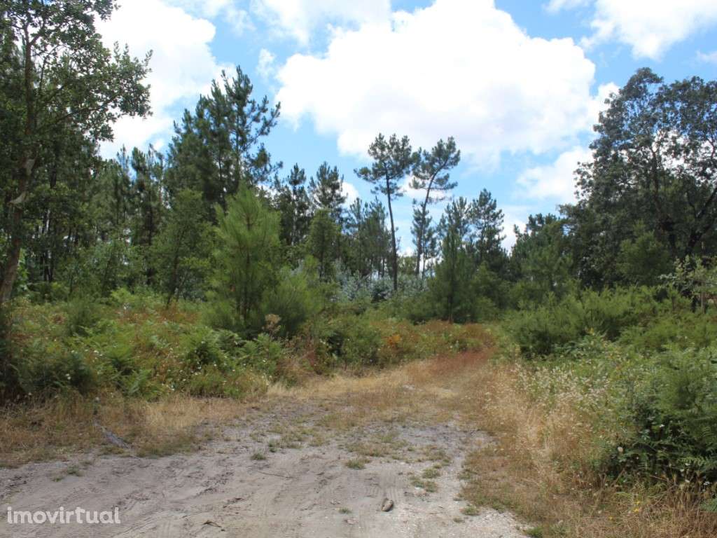 Terreno c/ 10712m2 - Grande imagem: 3/8