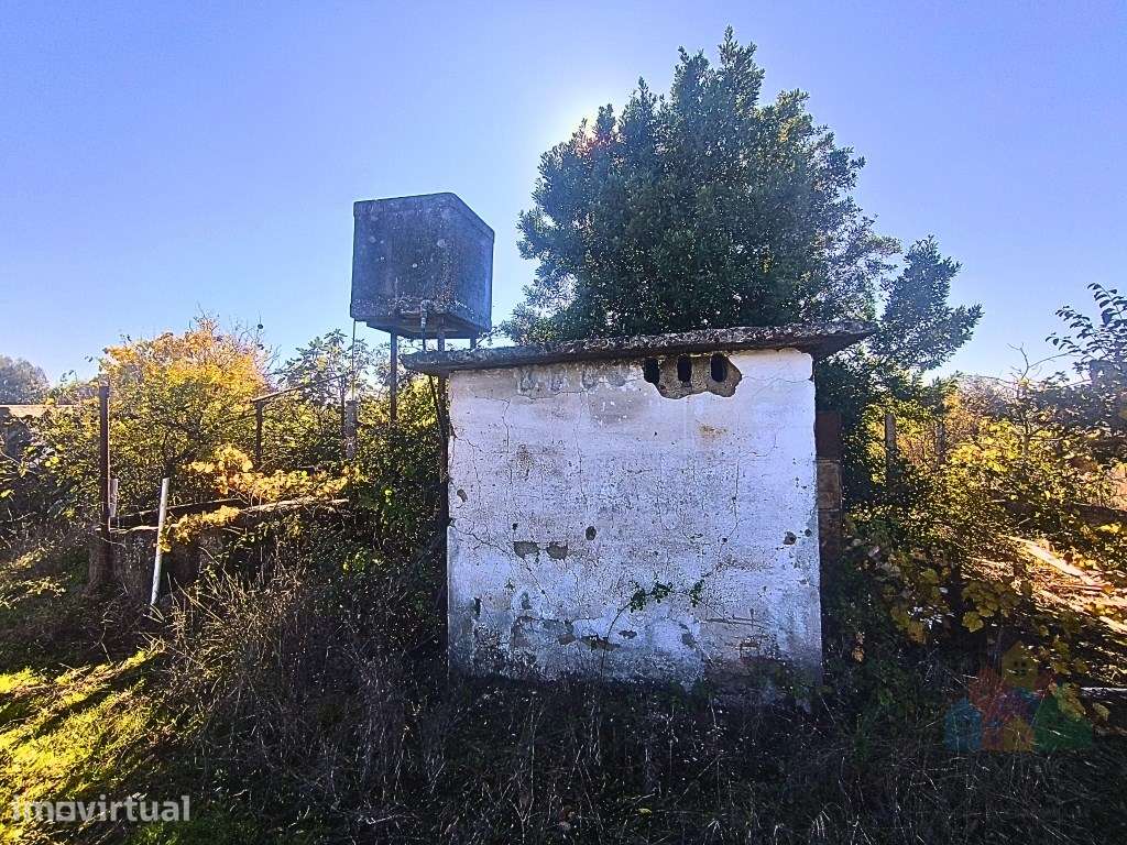 Moradia com terreno (3980 m2 com poço) no Entroncamento - Grande imagem: 3/14