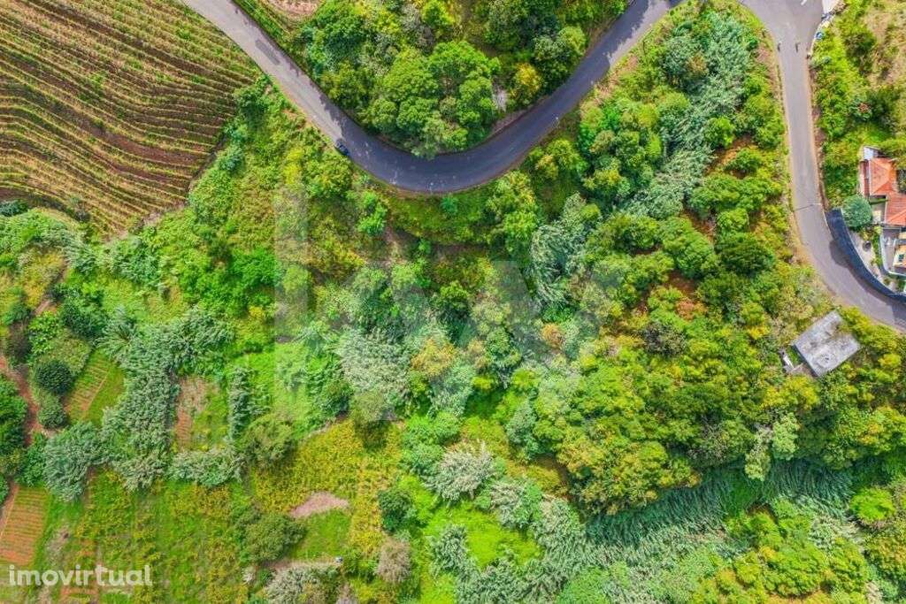 Terreno com 3830m2, para construção em Santana| Freguesia de S.Jorge ( - Grande imagem: 5/14