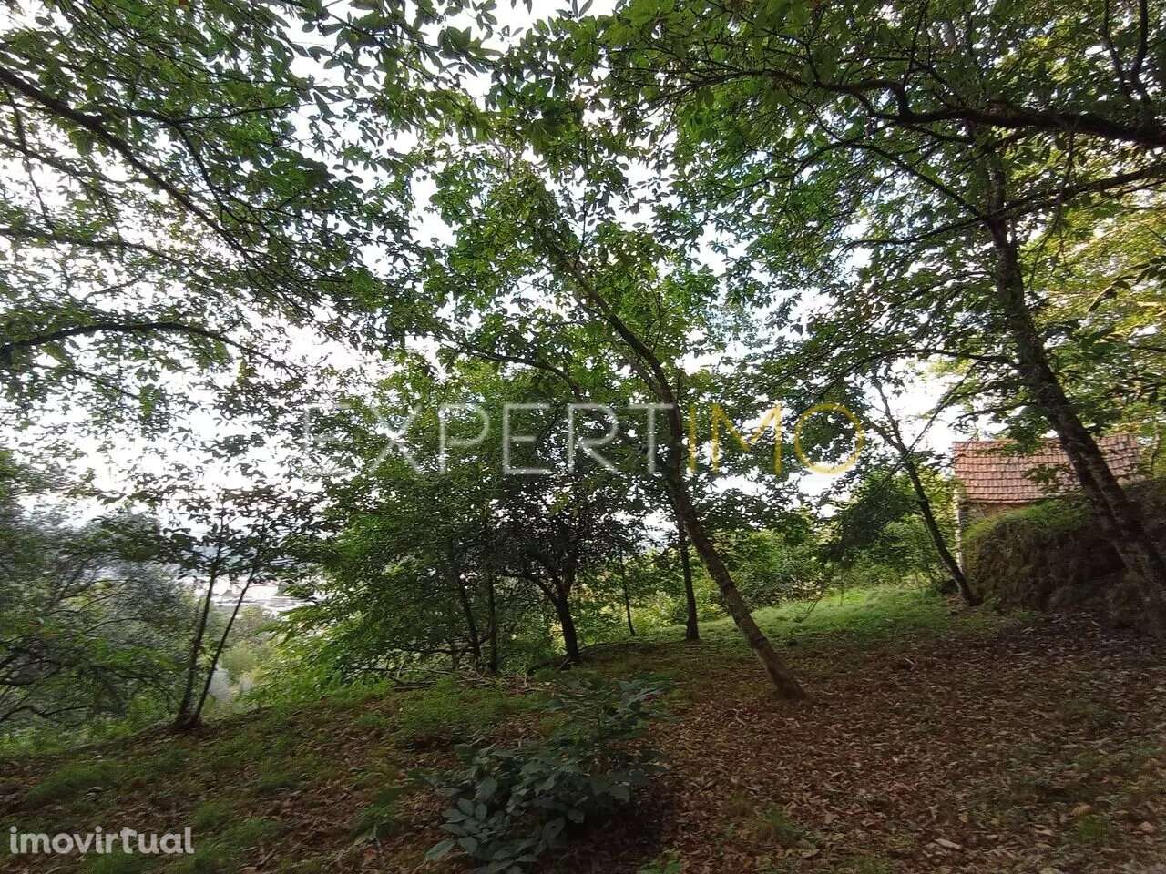 Terreno Rústico São Romão Seia - Grande imagem: 2/21