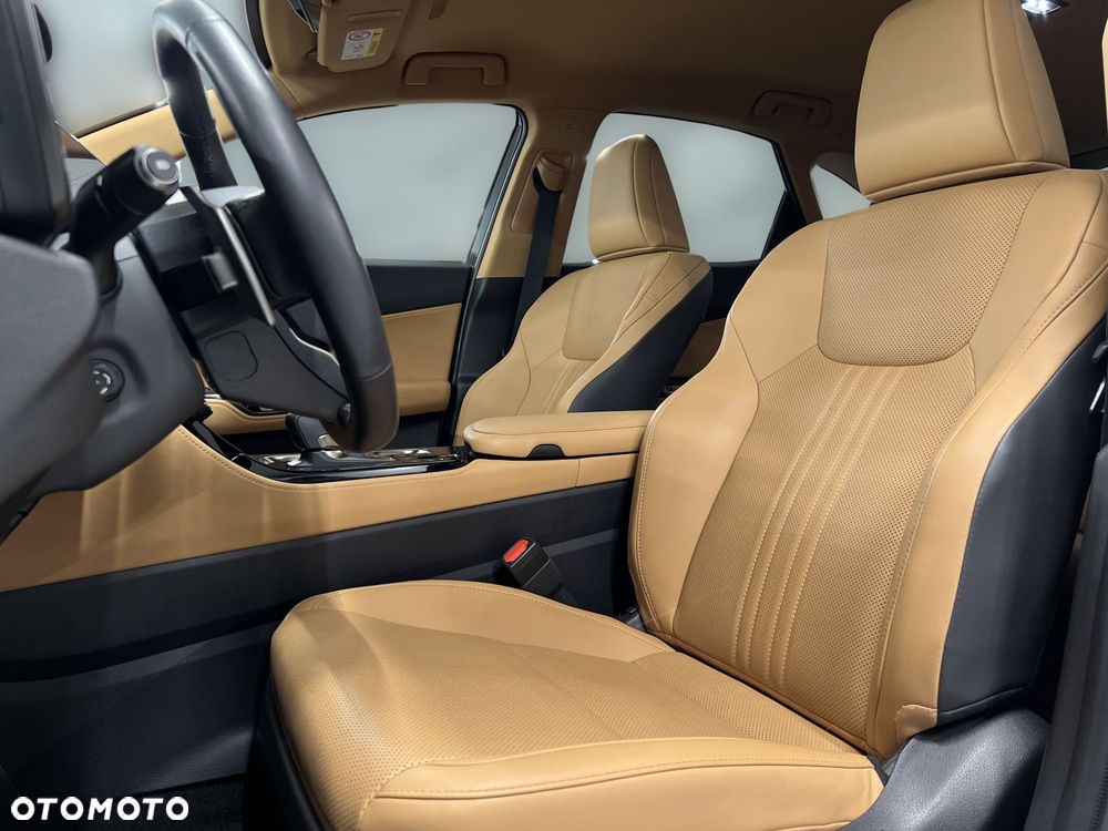 Lexus NX - 18