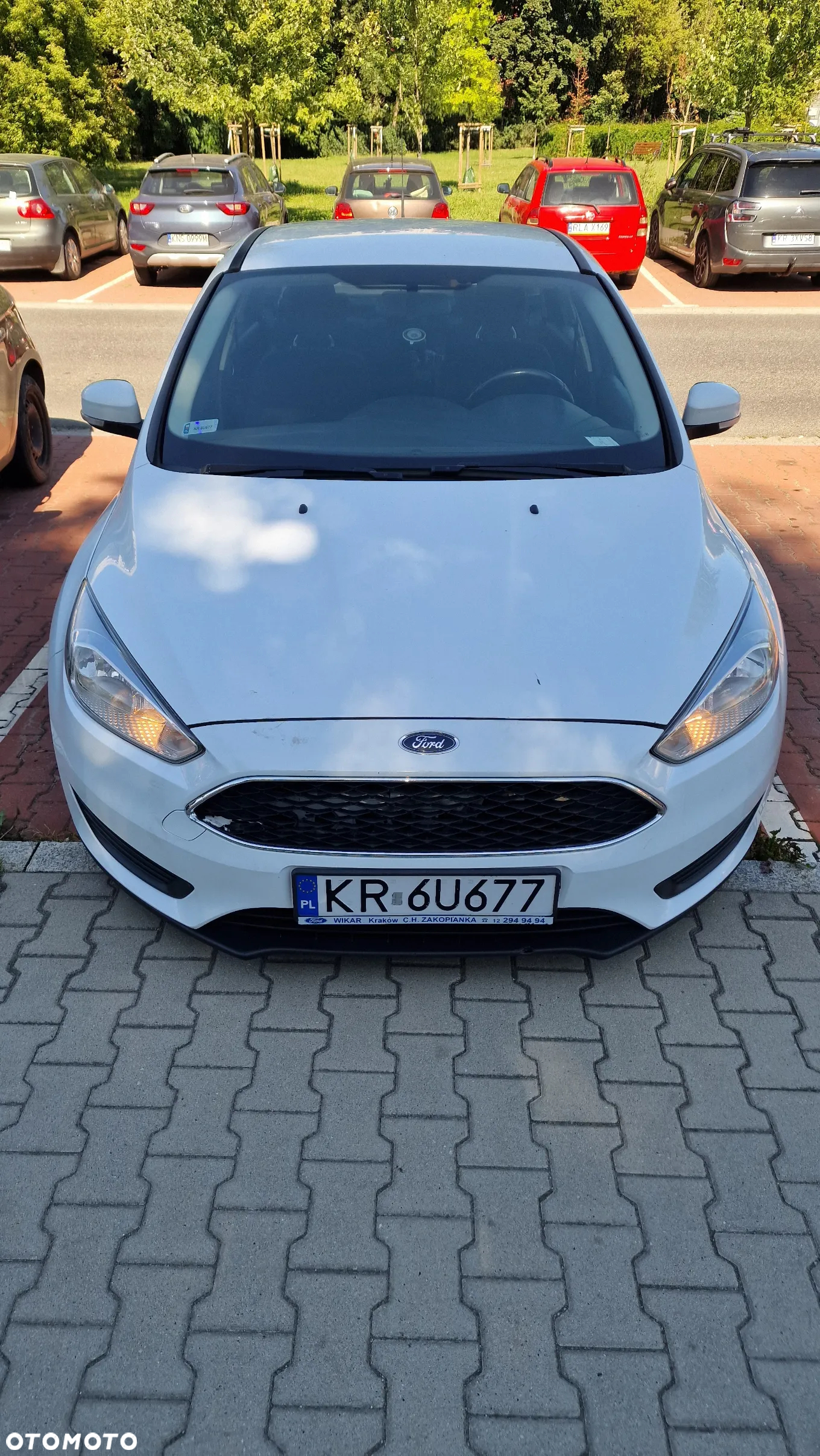 Ford Focus 1.6 Trend - 2