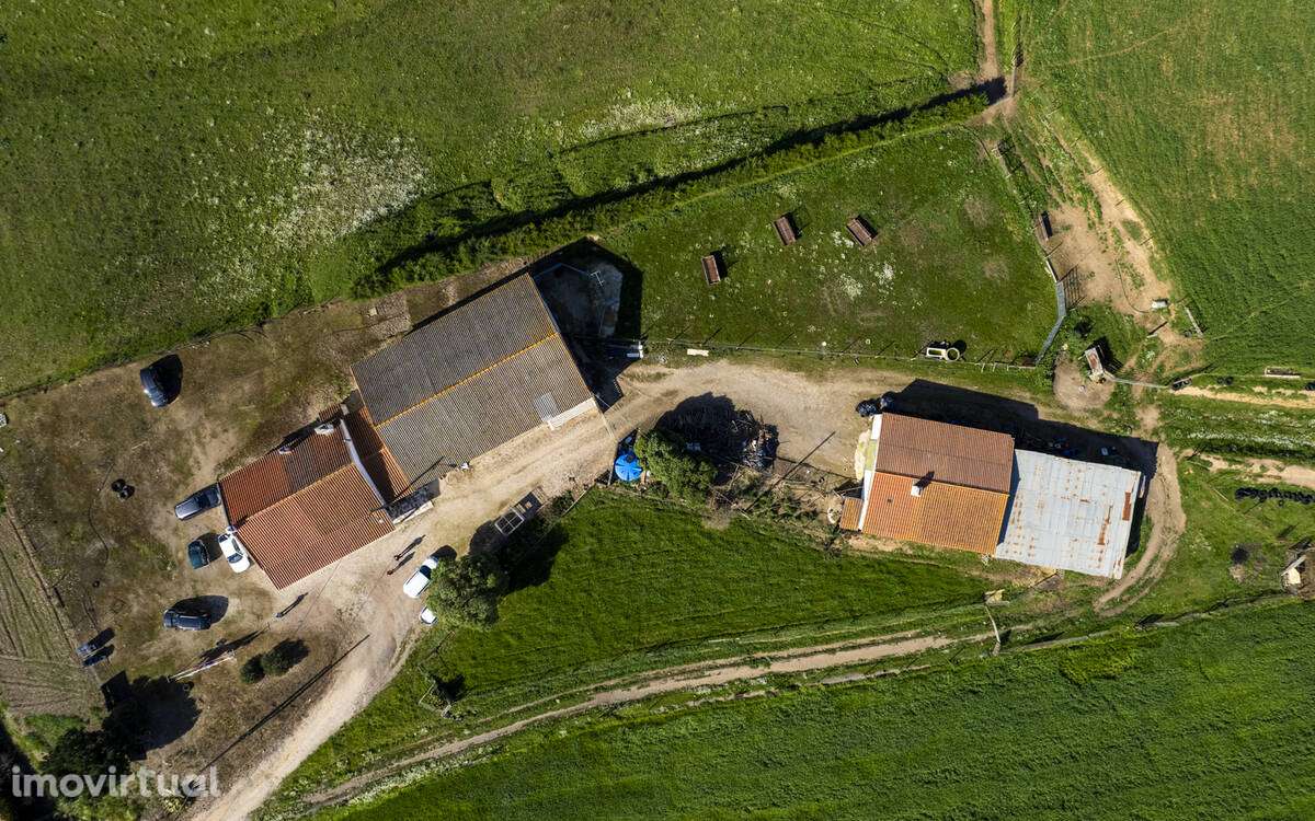 Quintinha no Alentejo com Grande área edificada - Grande imagem: 5/13