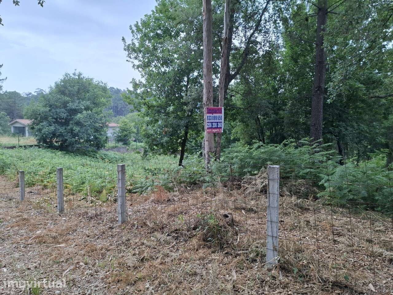 Terreno c/ projeto - Vale de Cambra - Grande imagem: 4/18