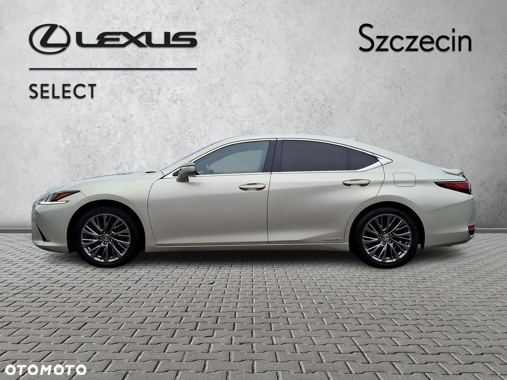 Lexus ES 300h Omotenashi - 2