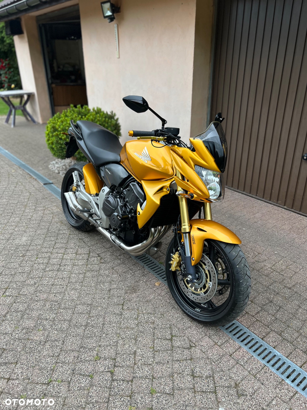 Honda Hornet